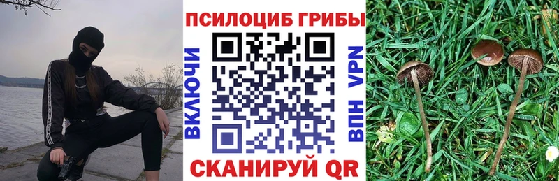 Псилоцибиновые грибы Psilocybe  ссылка на мегу зеркало  Саратов 